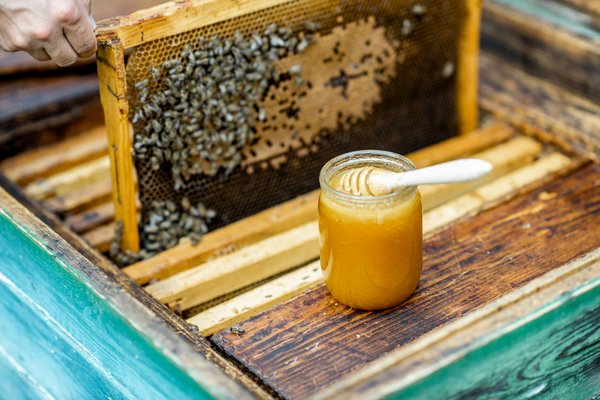 Découvrez la gamme de produits purs et naturels de qualité chez sources